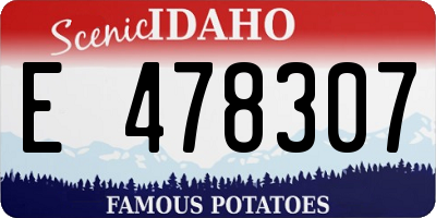 ID license plate E478307