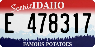 ID license plate E478317