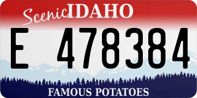 ID license plate E478384