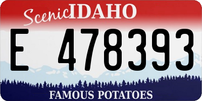 ID license plate E478393