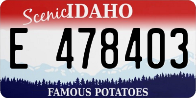 ID license plate E478403