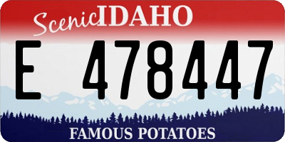 ID license plate E478447