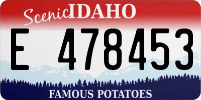 ID license plate E478453