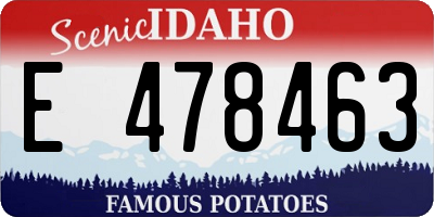 ID license plate E478463