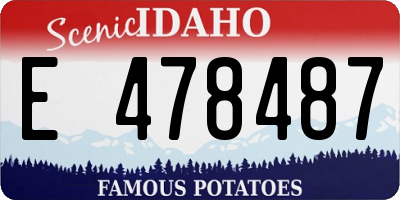 ID license plate E478487