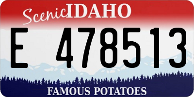 ID license plate E478513