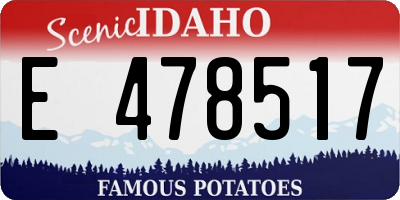 ID license plate E478517