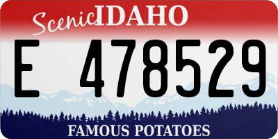 ID license plate E478529