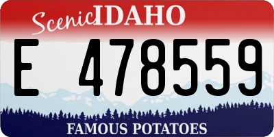 ID license plate E478559