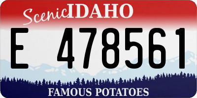 ID license plate E478561