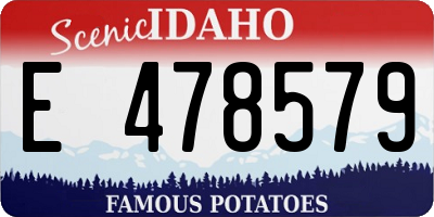 ID license plate E478579