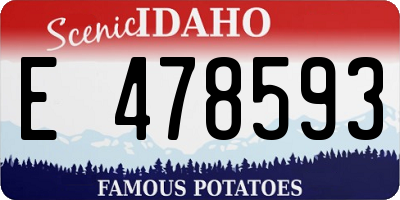 ID license plate E478593