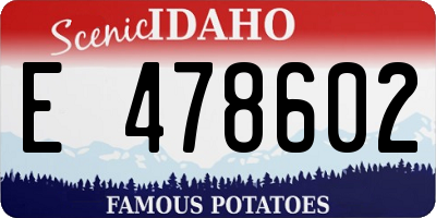 ID license plate E478602