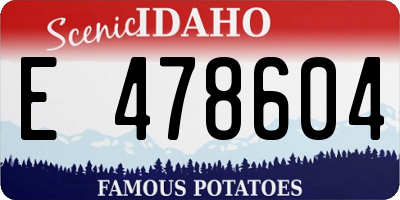 ID license plate E478604
