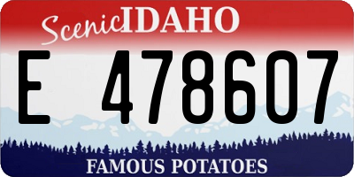 ID license plate E478607