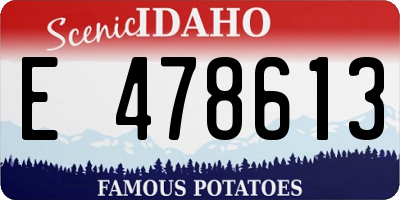 ID license plate E478613