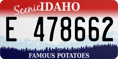 ID license plate E478662