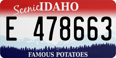 ID license plate E478663