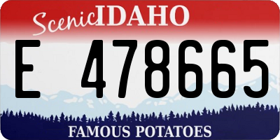 ID license plate E478665