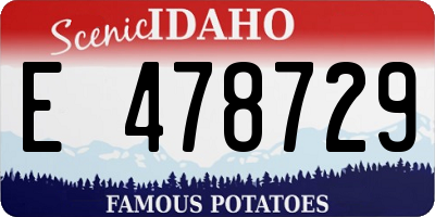 ID license plate E478729