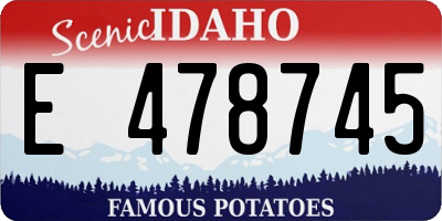 ID license plate E478745