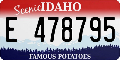 ID license plate E478795
