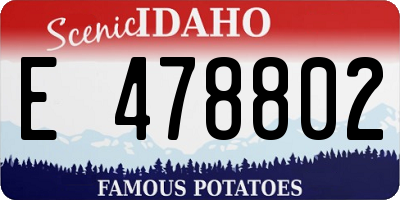 ID license plate E478802