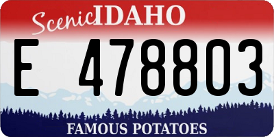 ID license plate E478803