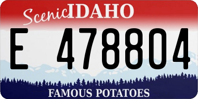 ID license plate E478804