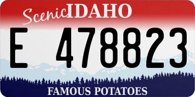 ID license plate E478823