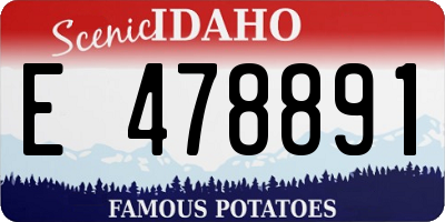 ID license plate E478891