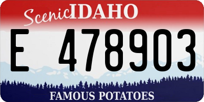 ID license plate E478903