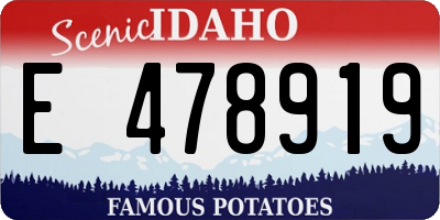 ID license plate E478919