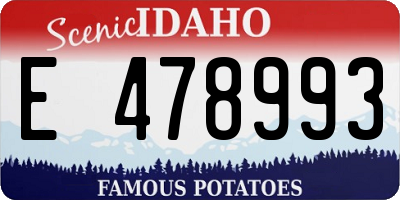 ID license plate E478993