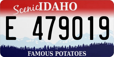 ID license plate E479019