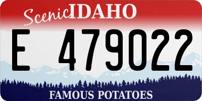ID license plate E479022