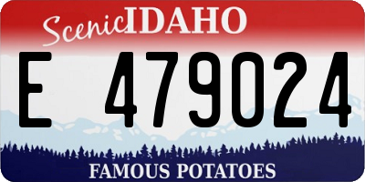 ID license plate E479024