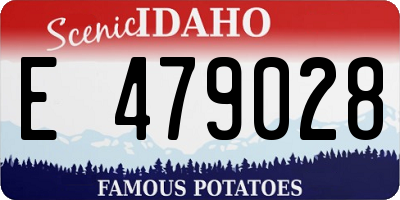 ID license plate E479028