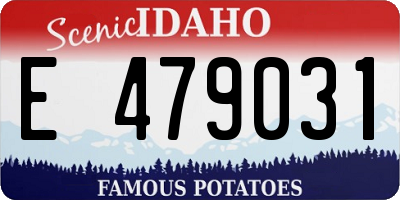 ID license plate E479031