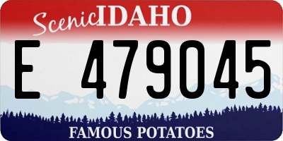 ID license plate E479045
