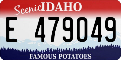 ID license plate E479049