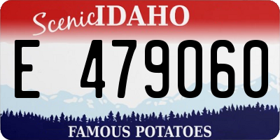 ID license plate E479060