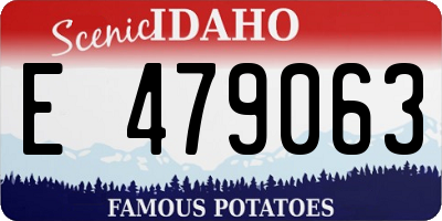 ID license plate E479063