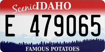 ID license plate E479065
