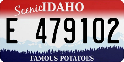 ID license plate E479102