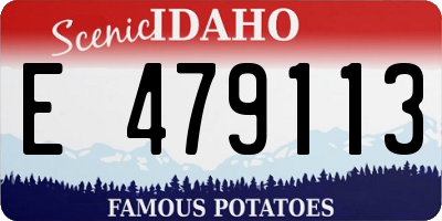 ID license plate E479113