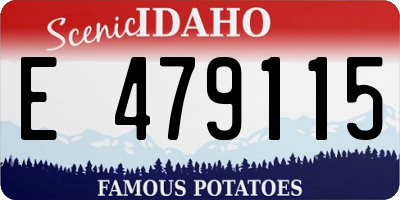 ID license plate E479115
