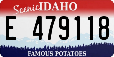 ID license plate E479118