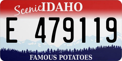 ID license plate E479119