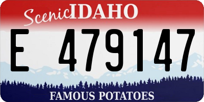 ID license plate E479147